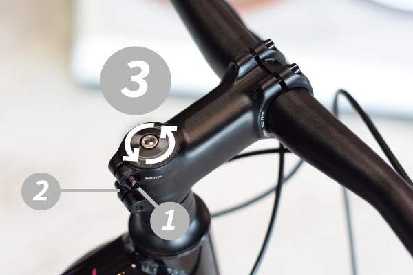 Ensure the top and side stem bolts are in place and loose
